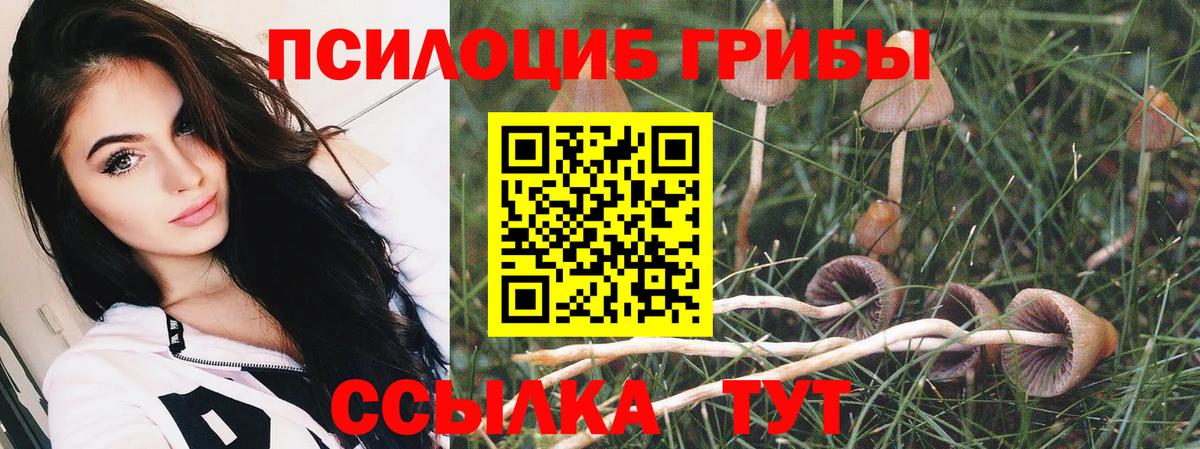 Тейково  Псилоцибиновые грибы Magic Shrooms  Псилоцибиновые грибы мицелий  Вход с VPN 