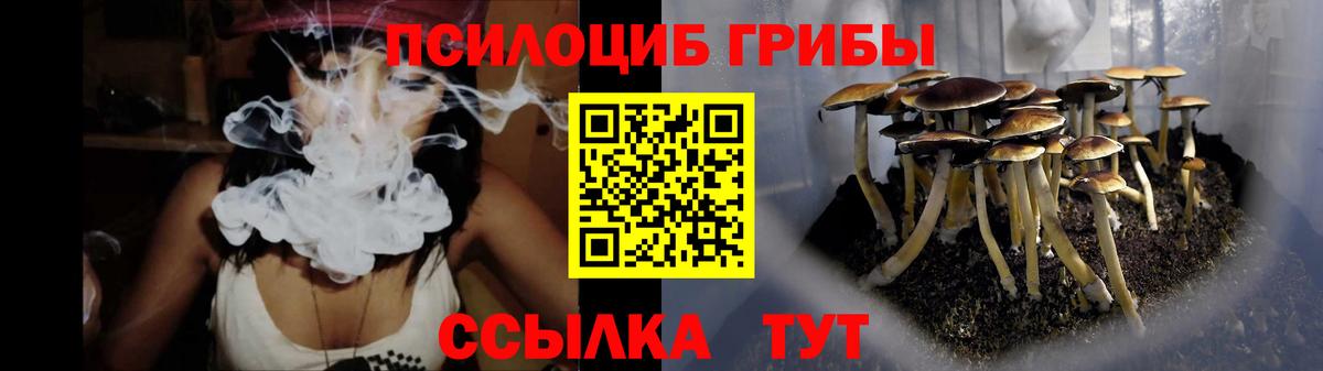 Псилоцибиновые грибы MAGIC MUSHROOMS Тейково